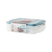 락앤락 튼튼해서 오래 쓰는 냉동용기 직사각 2.4L x 2p, 2세트, 단품