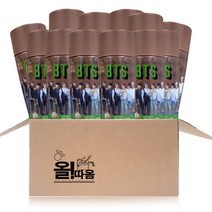 올따옴) BTS 핫브루 마카다미아 모카라떼 270ml 12개, 1개