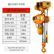 체인 호이스트 2톤 4m 라인 리프팅 중장비 굴삭기 와이어 380V 전기 주행 크레인, (러닝 타입) 2톤 더블 체인 4m 380V