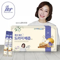 목 건강에 좋은 홍삼 품은 도라지 배즙 추석선물 청 배청 명절선물 스틱, 단품