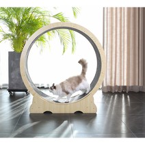 달리냥 캣휠 가성비 저소음 고양이 운동 용품 장난감 펫휠, 내부지름100cm, 자체조립