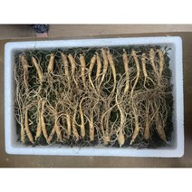 산양산삼 5-6년 파지삼 20뿌리 +2 39 900원부터 수로산삼, 5-6년 파지삼 20뿌리+파지삼2뿌리, 22개