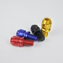 오토바이 튜닝 볼트 CNC 백미러 구멍 볼트 10mm 범용(2개 1세트), 정방향, 골드