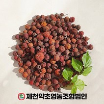 국산 산사 500g 제천약초영농조합 제천약초시장, 1, 500