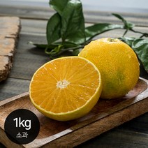 제주 황금향 고품격 감귤 신선한 달콤함 / 1kg 소과 가정용, 황금향_1kg 소과_가정용