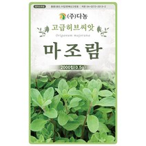 마가렛 1g - 마가렛트 금황꽃 허브 허브씨 허브씨앗 씨 씨앗 마가렛씨앗 마가렛씨 꽃씨 꽃씨앗 다년생 여러해살이 나무쑥갓 marguer, 16_다농_마조람(0.5g)
