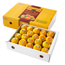 제주 하우스 감귤 5kg