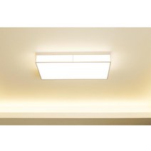 20평대거실 주광 주백 전구색 3단불빛 천장등 부모님방 고시원 안방 주택용 셀프교체 빌라
