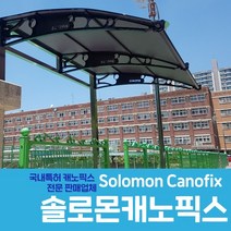 캐노픽스 1500 X 1900 어닝 창문 비막이 렉산 현관캐노피 차양, 검정틀 그린렉산