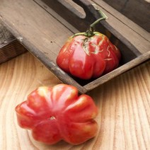 Zapotec Pleated Heirloom Tomato Premium Seed Packet + More, 1
