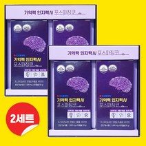 [포스파티딜세린] 기억력 영양제 집중력 인지력N 포스파징코 은행잎추출물 2개월분, 단품