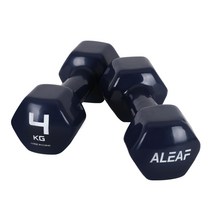 아리프 컬러 미용아령 4kg 2개 SET 덤벨 헬스, 단품
