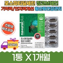 어버이날 은행잎 추출물 인지력 도움 포스파티딜세린 레시틴 포스타딜세린 세린 홍삼 기억력 개선 비타민E 아연 대두 징코 브레인 레시친 캡슐 부모님 수능 고시생 청소년 브레인 예방 아르기닌