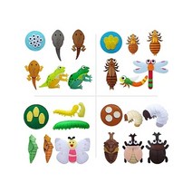 청양토이 동물의한살이(장수풍뎅이) 개/1 366090, 1개