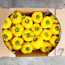 못난이 노랑 파프리카 1kg, 1개