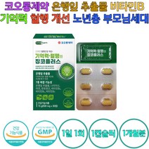 코오롱 제약 기억력 혈행개선 징코 플라보놀배당체, 30정, 1개
