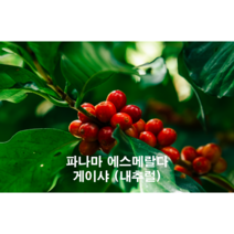 파나마 에스메랄다 게이샤 (내추럴) 원두 100g, 1개