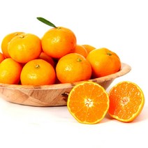 [올레돌밭농원] 23년 제주직송 햇 하우스감귤 1.5kg 2.5kg 4.5kg 가정용, 1.5Kg (로얄과), 1개