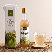 자연에서채취항아리발효숙성한개복숭아발효청300ml, NIBnome 1, NIBnome 1
