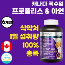 캐나다 직수입 온가족 프로폴리스 1000 아연 복합 기능성 플라보노이드 17mg 대용량 포르폴리스 프로포리스 프로플리스 플라보이드 폴라보노이드 PROPOLIS 여성 남자 40대, 180정, 1개