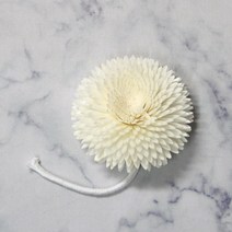 디퓨저스틱 뾰족 국화 심지 디퓨저 장식 재료