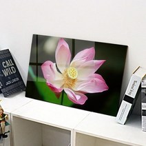 기타 바보사랑[꾸밈]아크릴액자_풍요인테리어연꽃(대형)