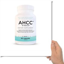 파필렉스 AHCC 1000mg 표고버섯균사체 60캡슐