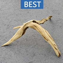 유목 대형 65cm 국산