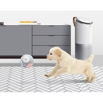 강아지슬개골탈구 논슬립 반려견장판 미끄럼방지 애견카페 강아지쓸개골 관절보호 아파트 강아지매트, 헤링본그레이 마블