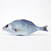 팔닥팔닥 고중딩 학생 은어 초등 연필 사무용품 문구용품 학교 물고기 필기구 필통 케이스 생선 도구, 쿠팡진 본상품선택, 쿠팡진 본상품선택