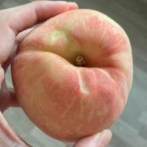 딱딱이 복숭아 2kg 국산 제철 신선 딱 복숭아 산지 직송 딱복 23년 아삭 달콤 여름 꿀 복숭아, 1개, 2kg (7-8과)