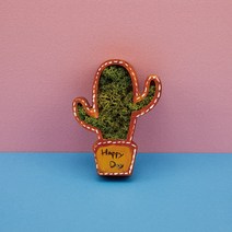 천연이끼 / 천연이끼 스칸디아모스 / 스칸디아모스 / 모스 / 공기정화식물 / 선인장모형 스칸디아모스 액자 꾸미기, 중