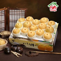 [푸드빌리지] 시원한 과즙 가득찬 배 나주배 가정용 7.5Kg 선물세트, 1개, 7.5Kg 15과내