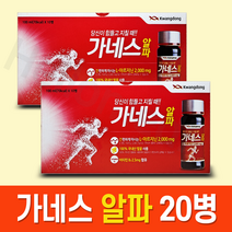 광동 가네스 알파 만성 피로 회복 음주전후 음료 100ml, 20병