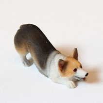 옆동네몰 웰시코기 강아지 미니어처, 놀자 - 블랙