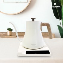 하트만 전기드립 커피포트 미세 온도조절 핸드드립 보온 미니 티포트