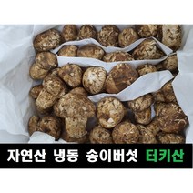 [버섯사랑] 자연산 능이버섯 특품 건조C급 100g, 1개