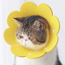 강아지 넥카라 고양이 푸들 동물병원 꼬깔 깔대기 소형견 반려견 넥칼라, 상품선택, 6펠트펫넥카라-핑크L