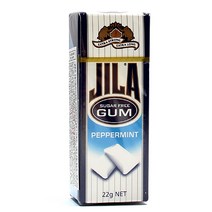 자일라껌 페퍼민트 향 무설탕 껌 22g, 1개
