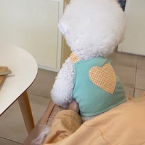 마카롱 여름 얇은 강아지 고양이 옷 나시 패션 비숑 애완동물 고양이 조끼, 초록