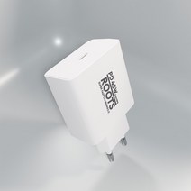 디에이치몰 루츠 45W GaN PD PPS 초고속충전기, 케이블 미포함, 화이트, 1개