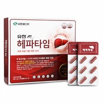 [유한메디카] 밀크씨슬 헤파타임 3개월 간건강 간영양제, 유한m헤파타임(1통), 선택옵션