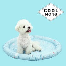GOREA. 노곤하개 강아지 고양이 애견 쿨매트 방석 소형 중형 대형견, 동물친구들 그린, 쿠션 원형