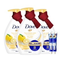 도브 바디워시 코코넛 1L x 3개+치약2개, 도브 바디워시 유자 1L x 3개+치
