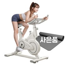 레저렛 헬스 자전거 가정용 실내 싸이클 스핀 바이크 스피닝, 기본형