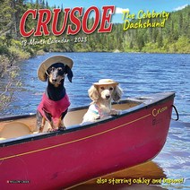 Crusoe the Celebrity Dachshund 2023 Mini Wall Calendar [Calendar]