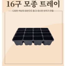 16구 모종 트레이) 모종 육묘 씨앗발아 포트 저면관수