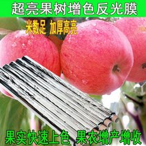 사과반사필름 포도 재배용 과수원 온실 비닐 착색, 폭 1미터 길이 200미터(구멍 없음)