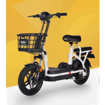 제주도 강릉 동해 전기바이크 스쿠터 2인 모빌리티, 납산 광택 검정/48V/12ah