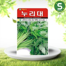 누리대 씨앗 20립 누룩치 산채류 노천매장 종자, 단품